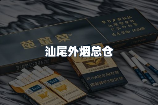 汕尾外烟总仓